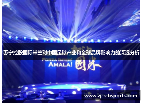 苏宁控股国际米兰对中国足球产业和全球品牌影响力的深远分析 苏宁控股国际米兰对中国足球产业和全球品牌影响力的深远分析