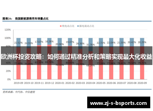 欧洲杯投资攻略：如何通过精准分析和策略实现最大化收益