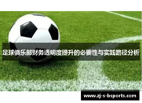 足球俱乐部财务透明度提升的必要性与实践路径分析