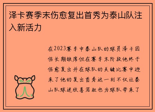 泽卡赛季末伤愈复出首秀为泰山队注入新活力
